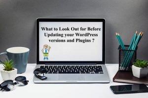 wordpress_version