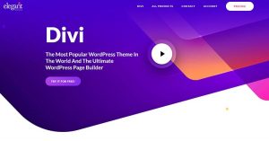 Divi Page Builder